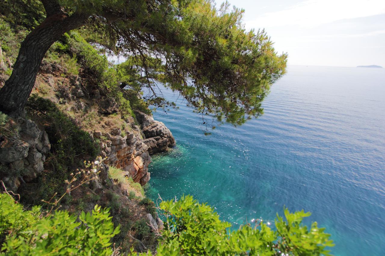 Kalamota Beach House Gornje Celo 외부 사진